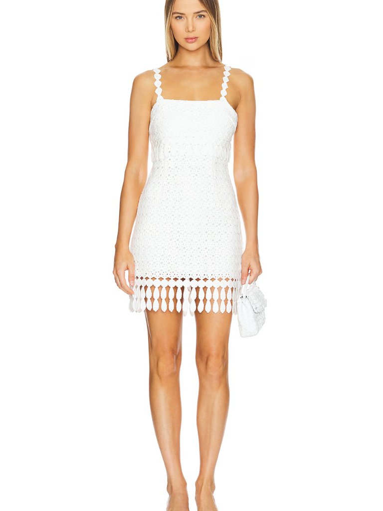Saylor Caitriona Mini Dress